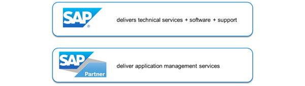 SAP service delivery model